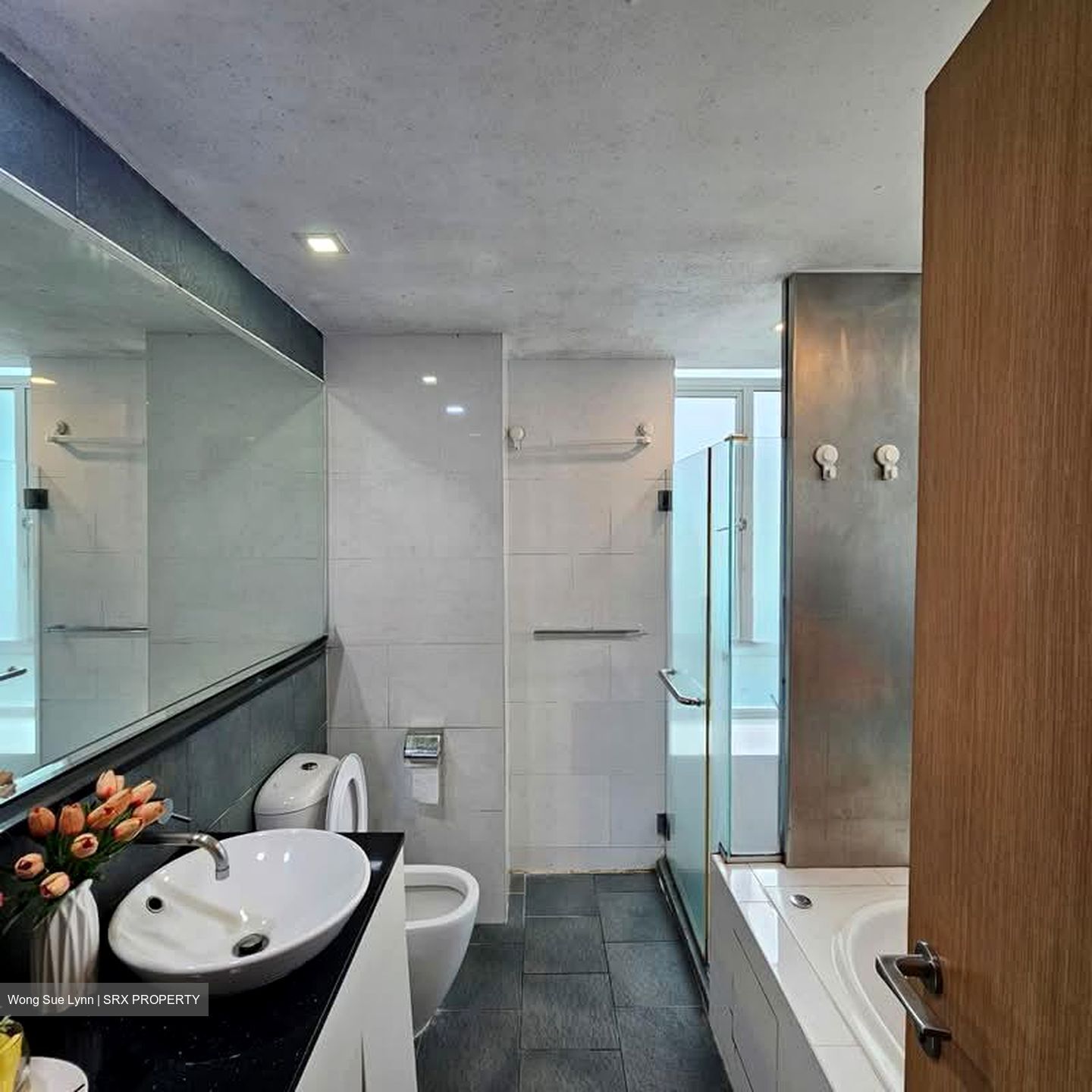 The Pearl @ Mount Faber (D4), Condominium #574490691